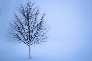 Fagkveld januar 2017